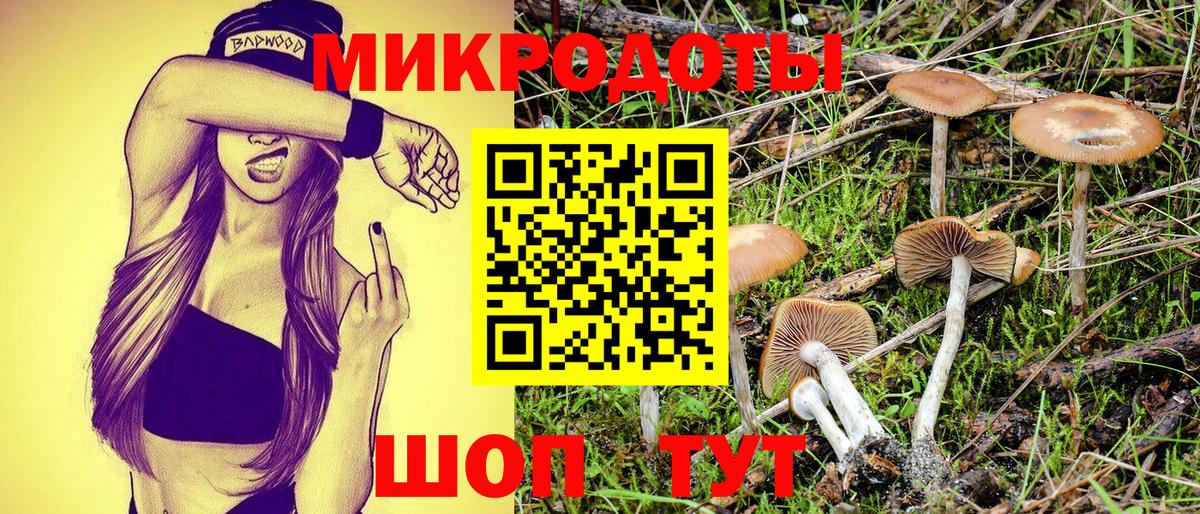 Псилоцибиновые грибы прущие грибы Фролово